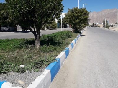 photo9843051356